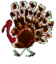 There Is No Turkey